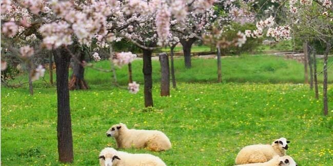 79e08f32fa8a036f84441baab7b7a7ff